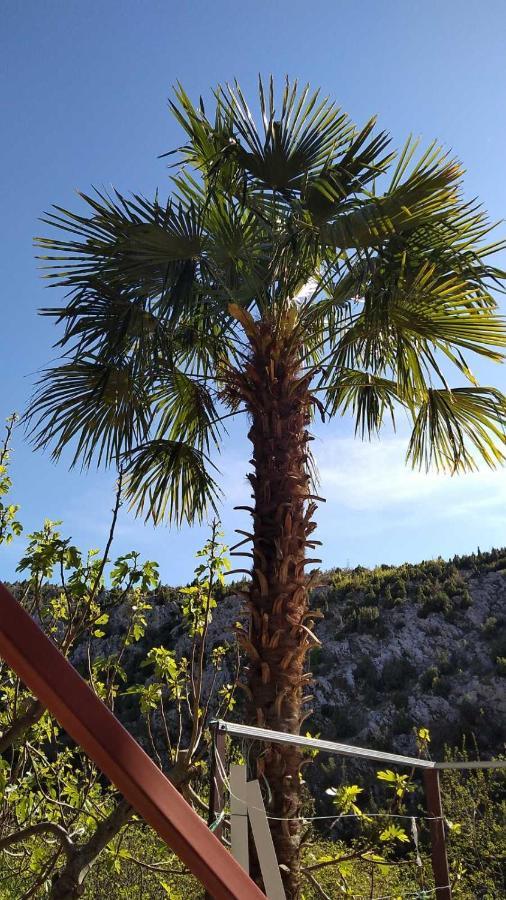 Apartman Maida Blagaj Dış mekan fotoğraf