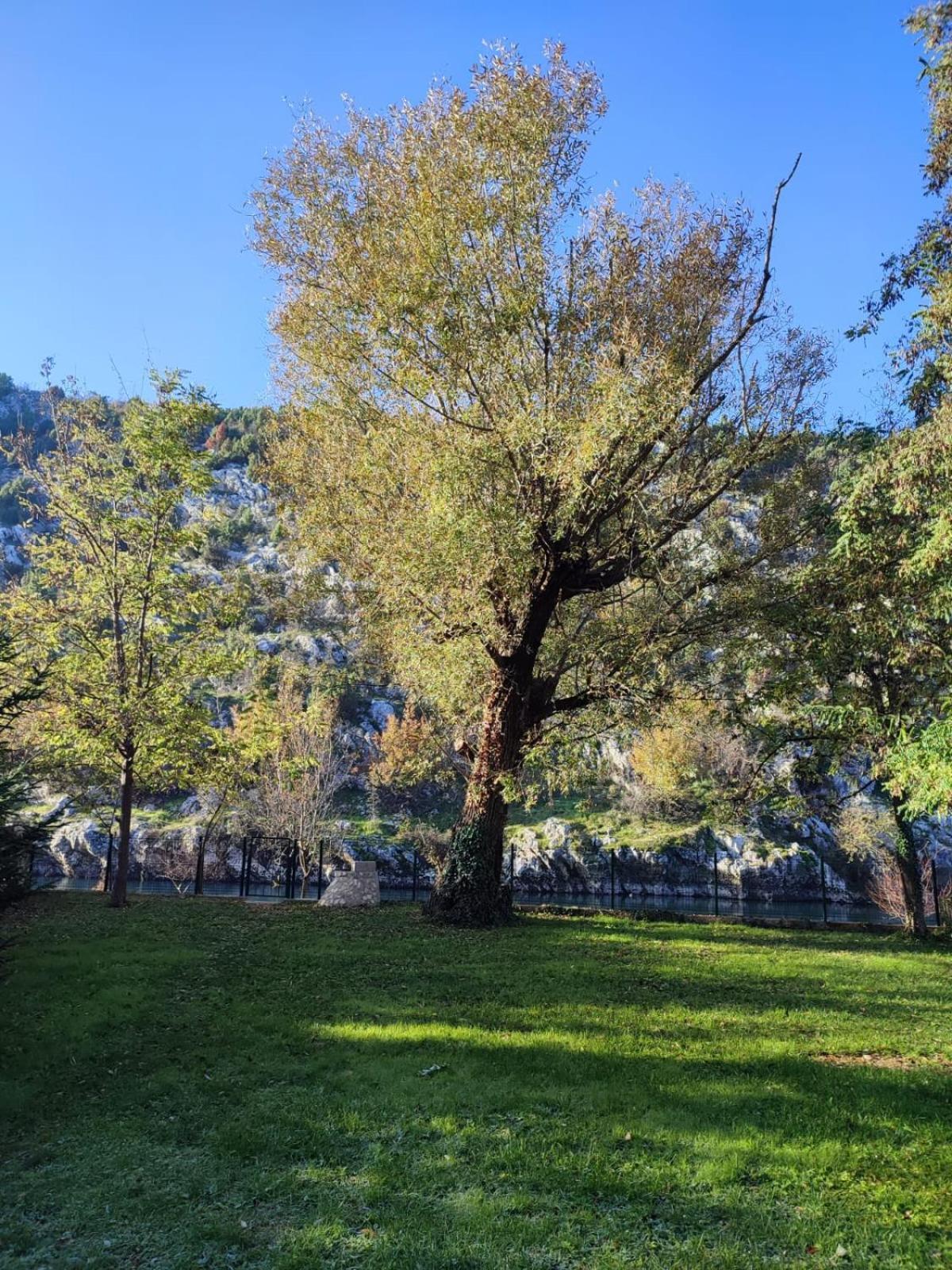 Apartman Maida Blagaj Dış mekan fotoğraf